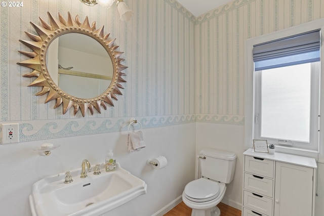 bathroom featuring wood-type flooring, oversized vanity, and toilet