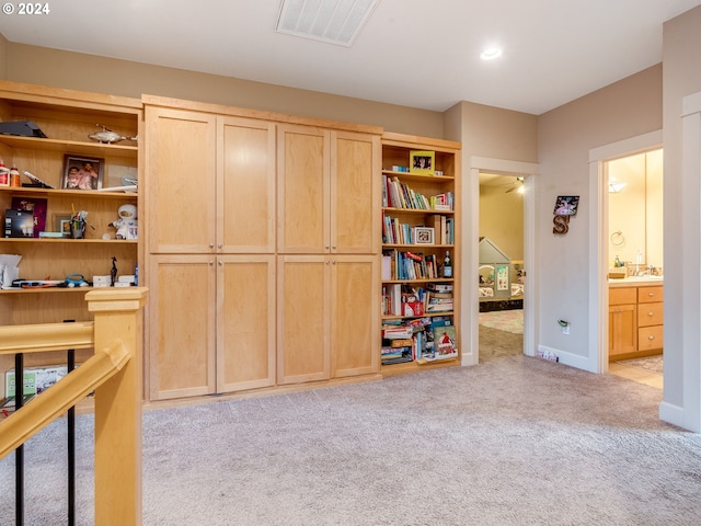 interior space with light carpet, sink, and ensuite bathroom