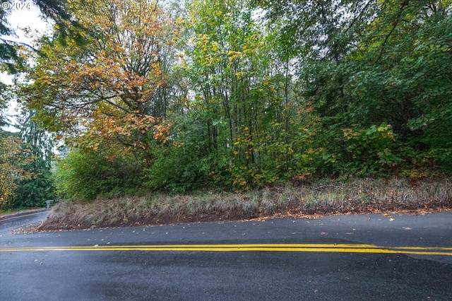 Niemi Rd, Longview, WA 98632