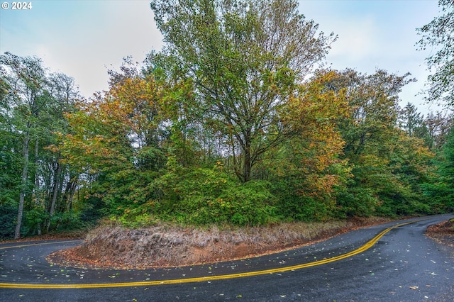 Niemi Rd, Longview, WA 98632