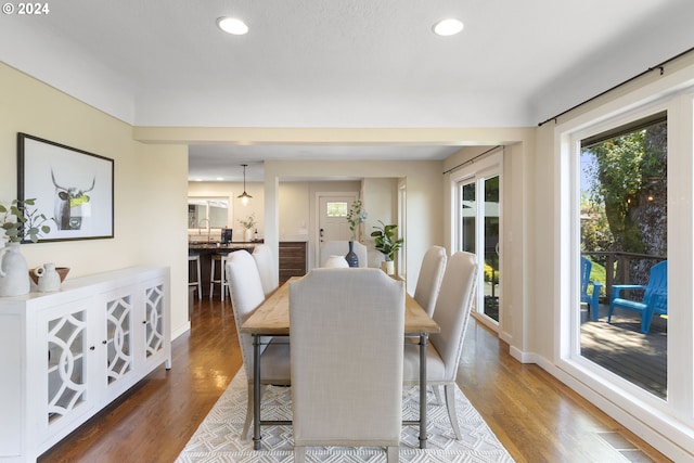 dining area featuring sink and dark hardwood / wood-style floors