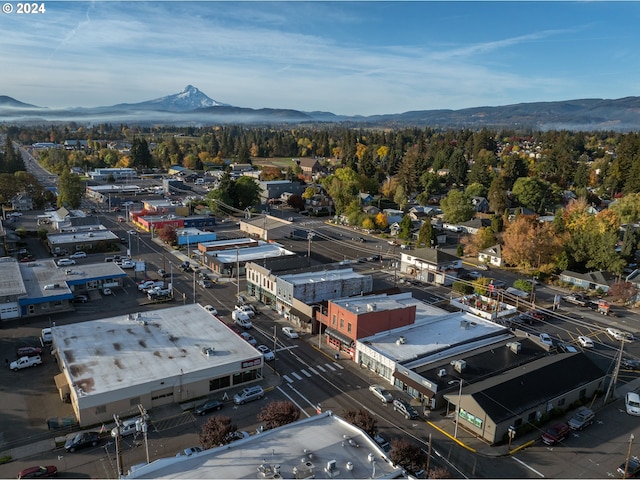 aerial view with a mountain view