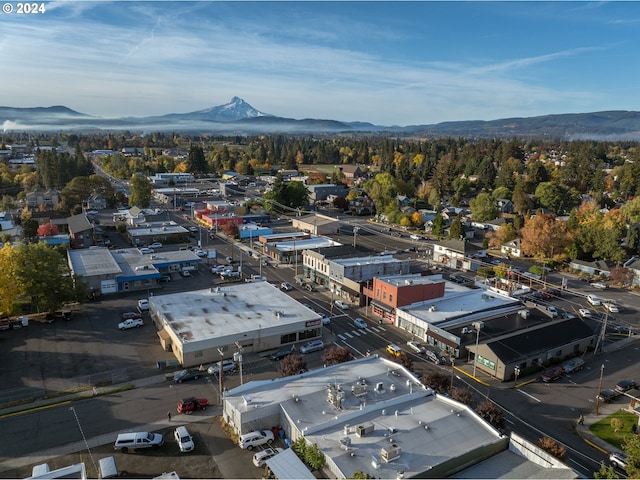 birds eye view of property featuring a mountain view