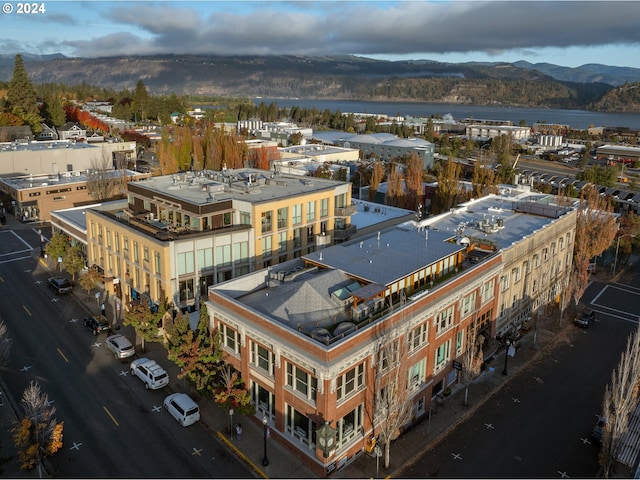 birds eye view of property with a mountain view