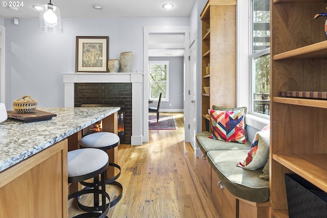 interior space with light wood-type flooring