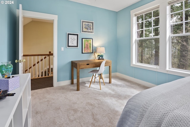 carpeted bedroom with multiple windows