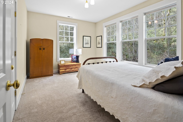 carpeted bedroom with multiple windows