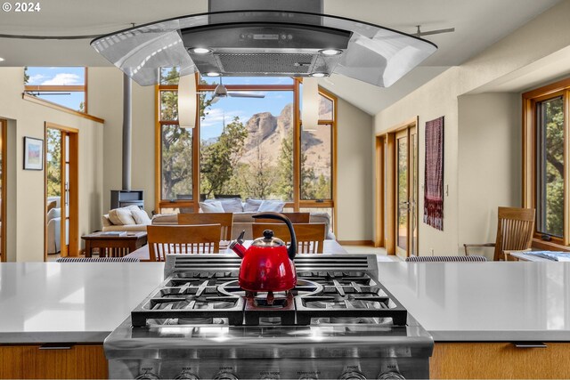 kitchen with light countertops, a peninsula, appliances with stainless steel finishes, and island range hood