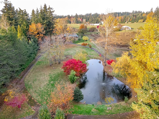 bird's eye view featuring a water view and a wooded view