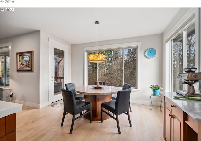 dining room with light hardwood / wood-style flooring