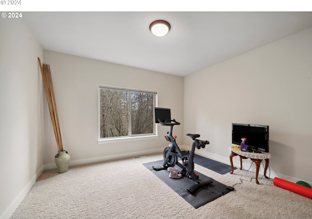 workout area with carpet