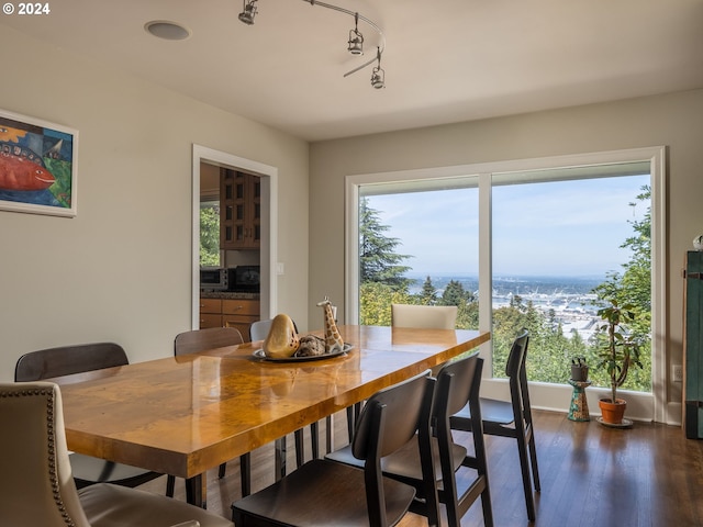 dining space featuring dark hardwood / wood-style flooring