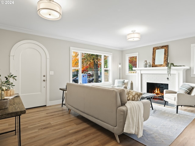 living room featuring hardwood / wood-style flooring, ornamental molding, and a fireplace