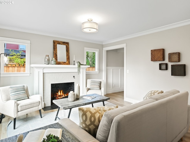 living room with crown molding, light hardwood / wood-style flooring, and a fireplace