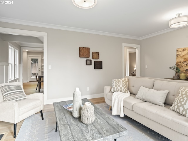 living room with crown molding and wood-type flooring