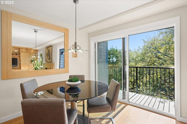 dining area with hardwood / wood-style floors