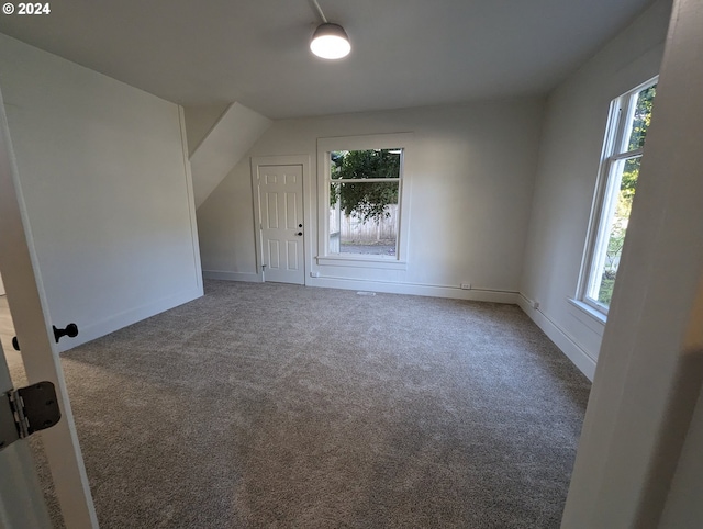 additional living space featuring carpet and vaulted ceiling