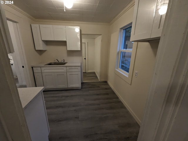 kitchen with white cabinetry, sink, dark wood-type flooring, light stone counters, and crown molding