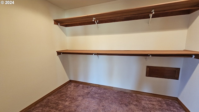 walk in closet with carpet flooring