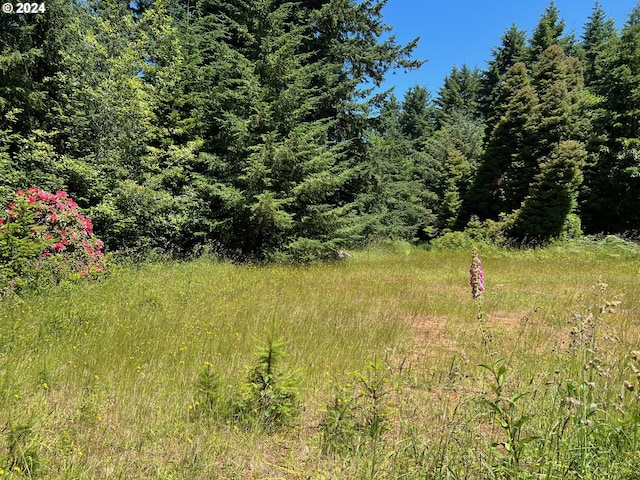 20452 Whaleshead Rd, Brookings OR, 97415 land for sale