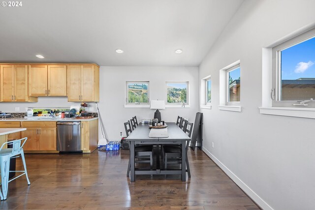 kitchen featuring dark wood-type flooring, a healthy amount of sunlight, dishwasher, and light brown cabinetry