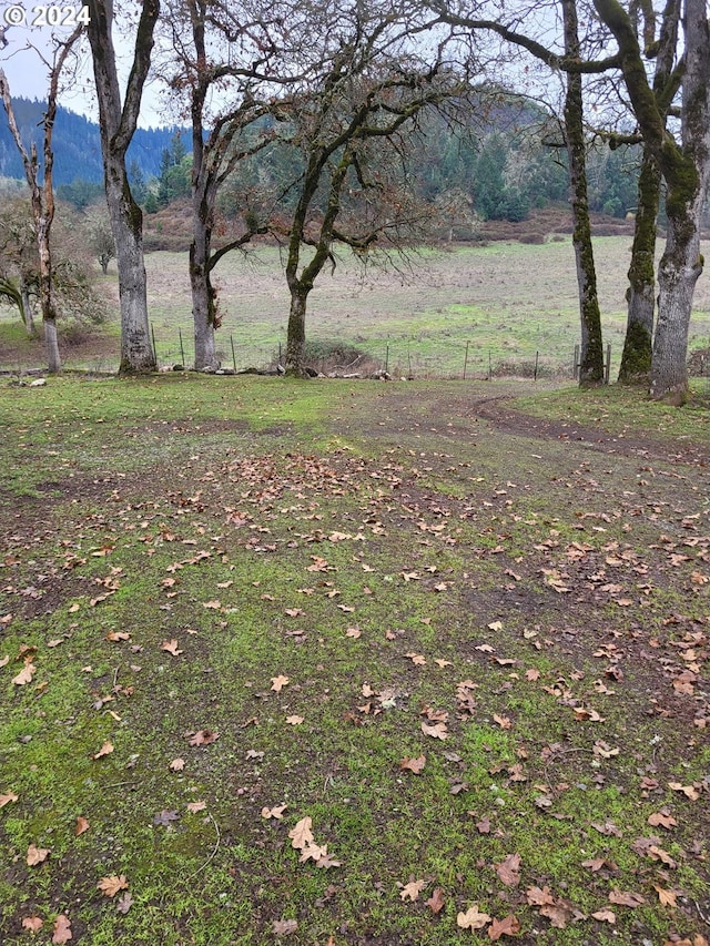 view of yard featuring a mountain view