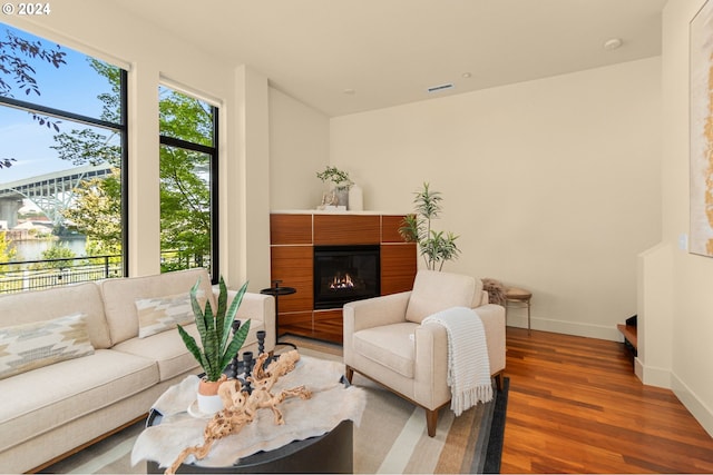 living room featuring a glass covered fireplace, plenty of natural light, baseboards, and wood finished floors