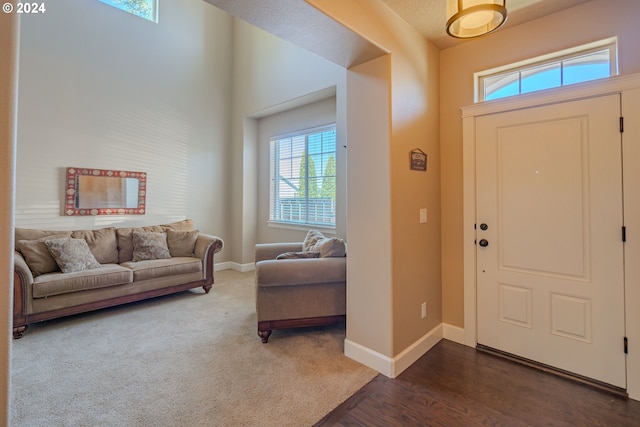 foyer with dark carpet