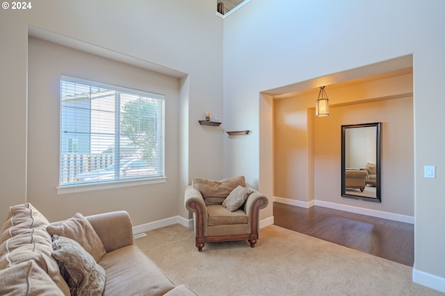 living room featuring carpet floors