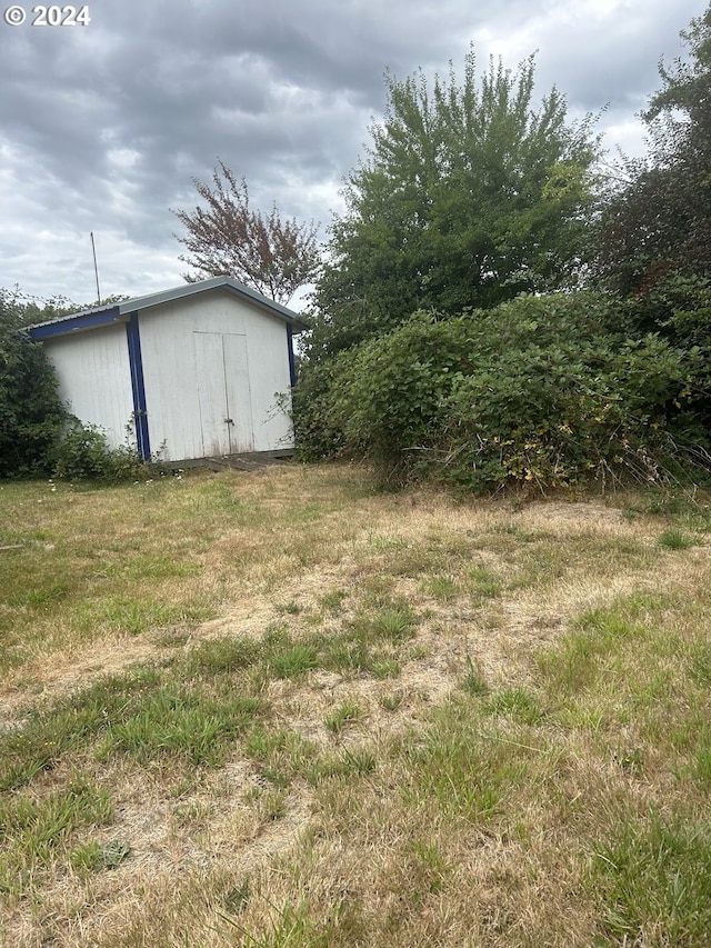 view of yard featuring a storage unit