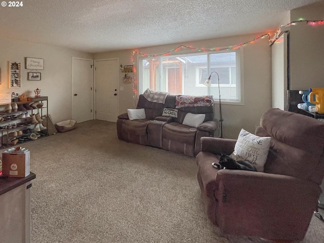 carpeted living room with a textured ceiling