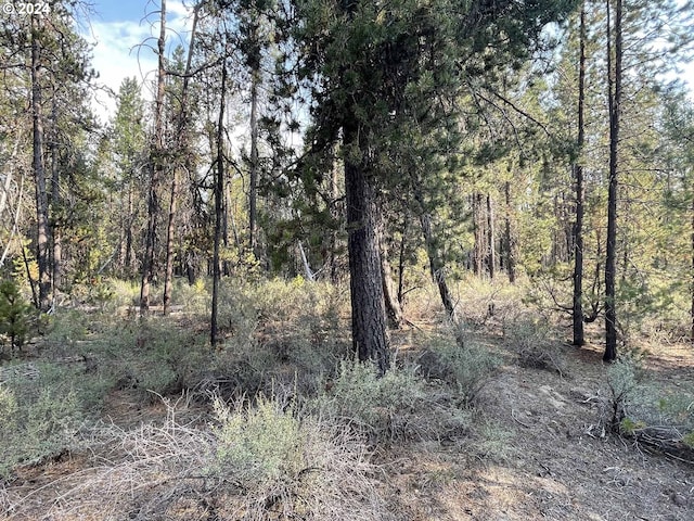 Listing photo 2 for Canary Dr Lot 19, Bonanza OR 97623