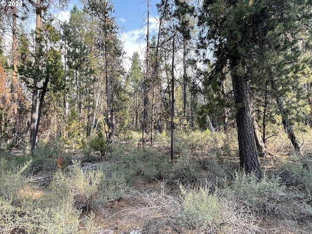 Listing photo 3 for Canary Dr Lot 19, Bonanza OR 97623