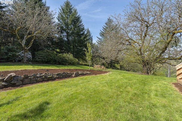 view of yard