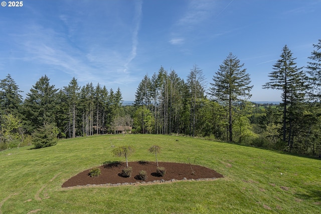 view of yard featuring a view of trees
