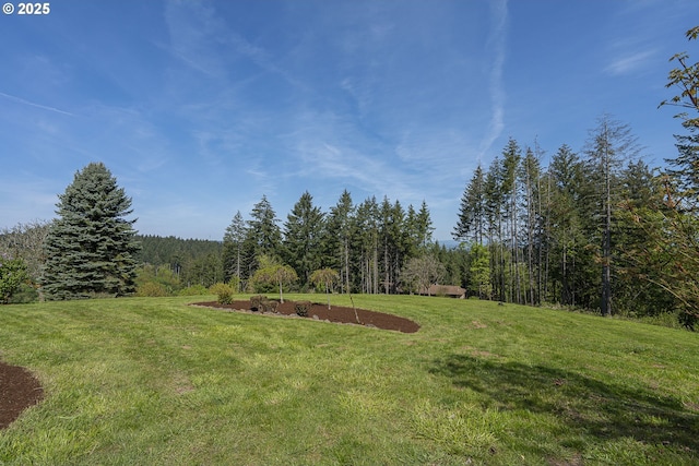 view of yard featuring a wooded view