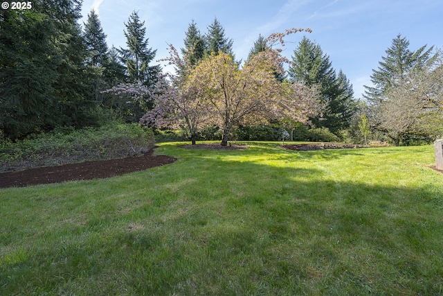 view of yard