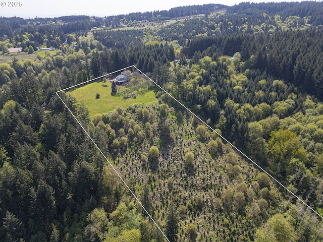 aerial view with a view of trees