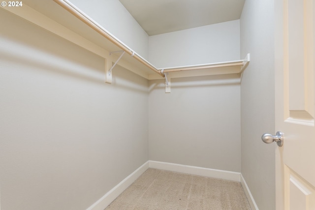 spacious closet featuring light colored carpet