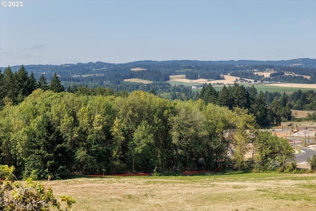 mountain view featuring a rural view