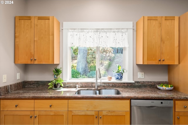 kitchen with stainless steel dishwasher and sink