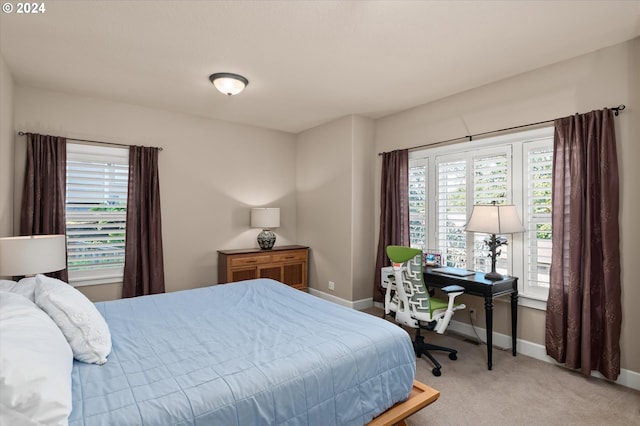 bedroom featuring carpet