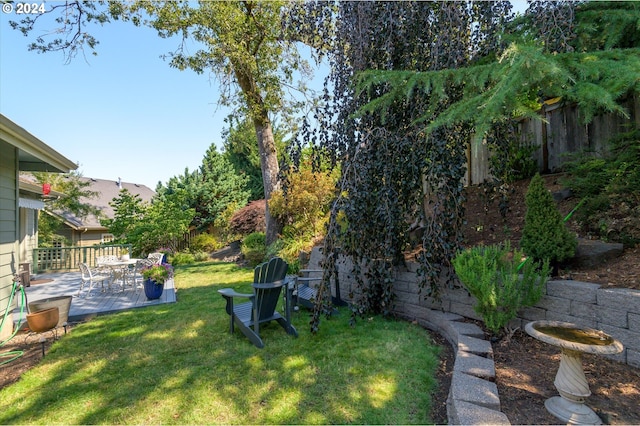 view of yard featuring a patio area