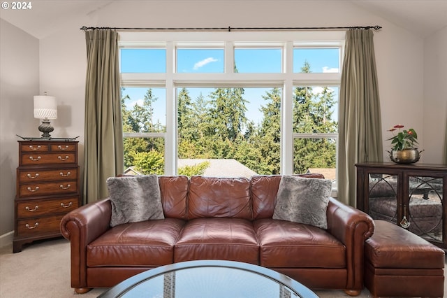 living room featuring lofted ceiling, carpet, and plenty of natural light