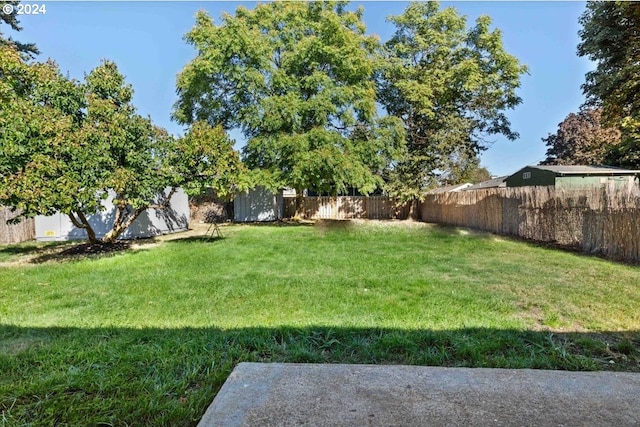 view of yard featuring a storage shed