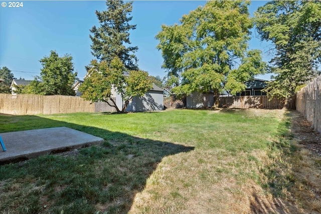 view of yard featuring a storage shed