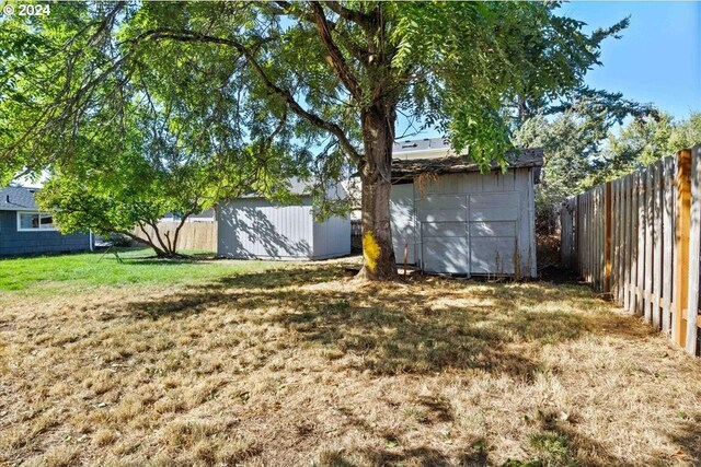 view of yard with a shed