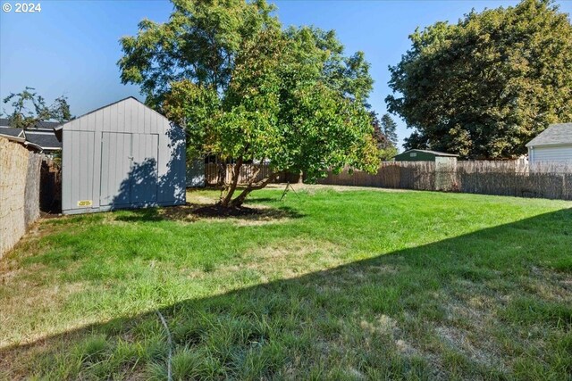 view of yard featuring a storage unit