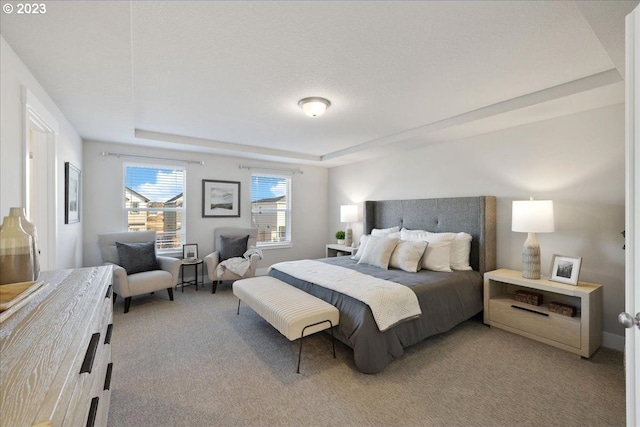 carpeted bedroom featuring a tray ceiling