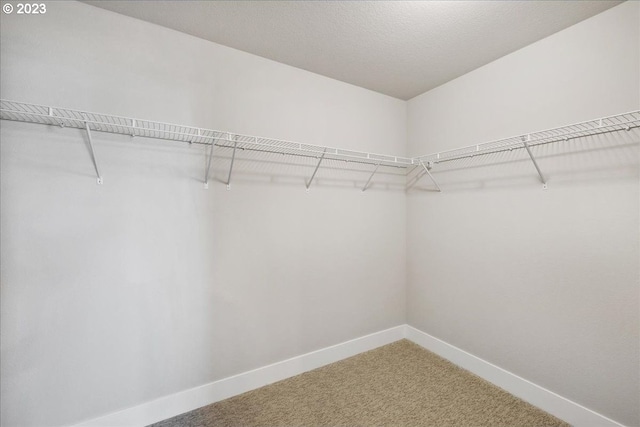 spacious closet with carpet floors